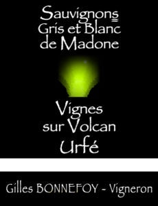 Bonnefoy (La Madone) 2022 IGP Urfe Sauvignons Gris/Blanc Volcan